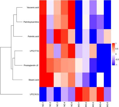 Mori Fructus Polysaccharides Attenuate Alcohol-Induced Liver Damage by Regulating Fatty Acid Synthesis, Degradation and Glycerophospholipid Metabolism in Mice